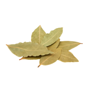 ورق غار
